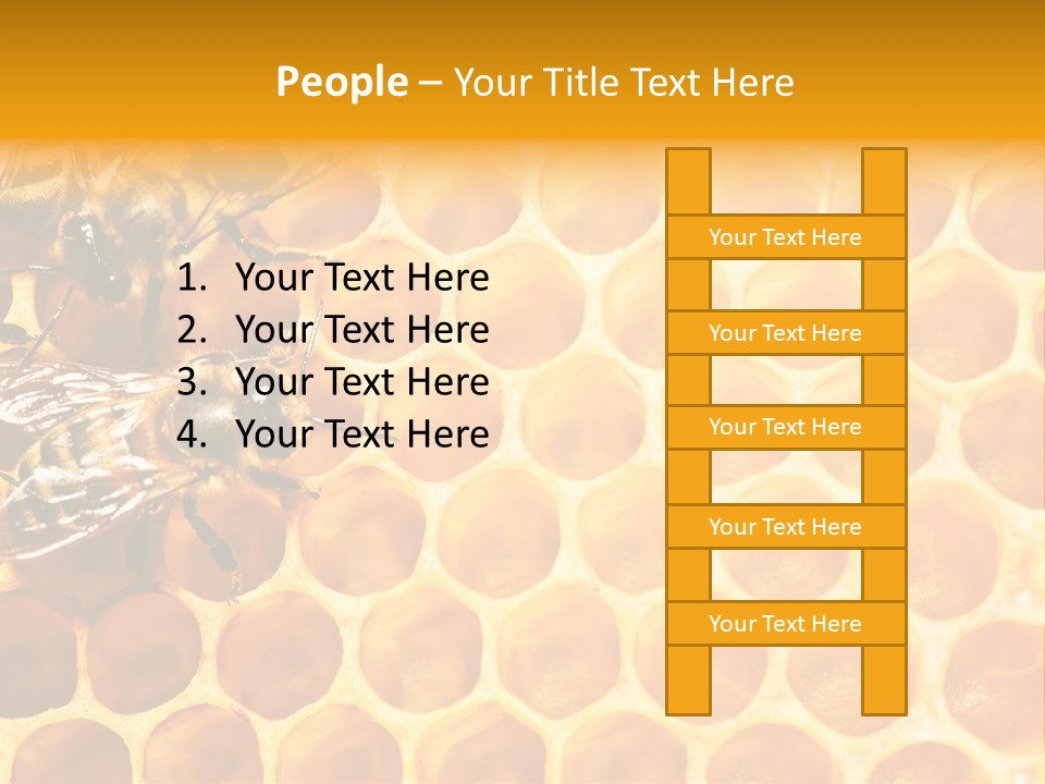 Out Studious Macro PowerPoint Template