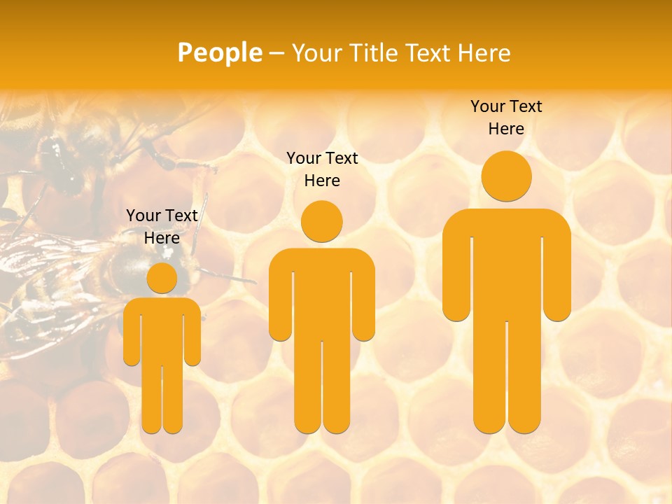 Out Studious Macro PowerPoint Template