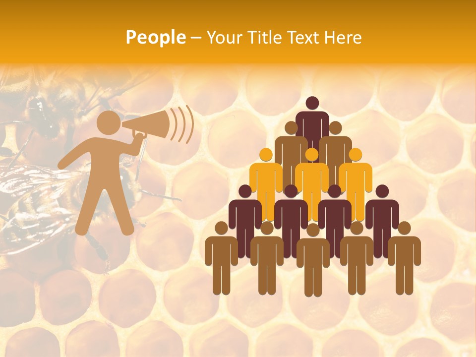 Out Studious Macro PowerPoint Template