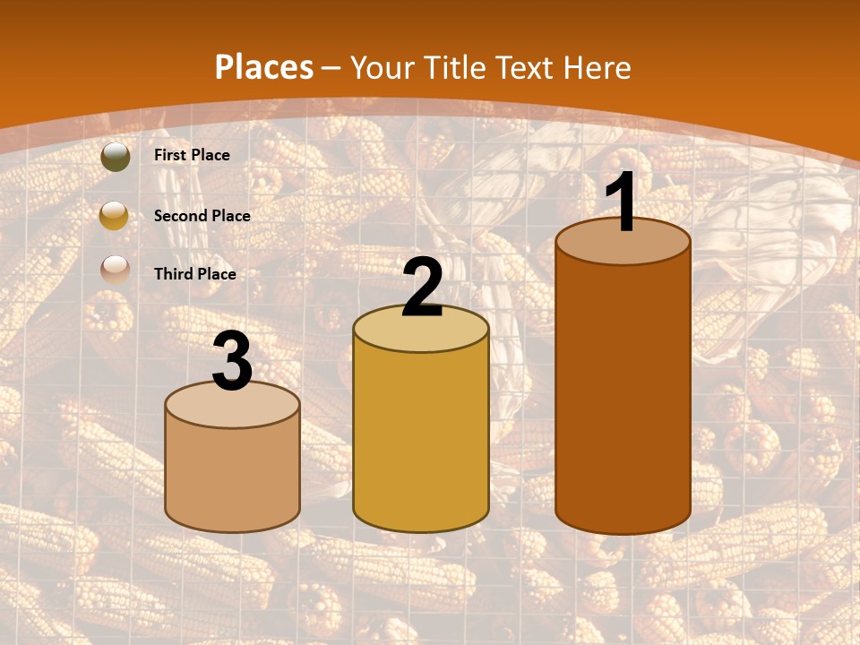 Animal Dry Farming PowerPoint Template