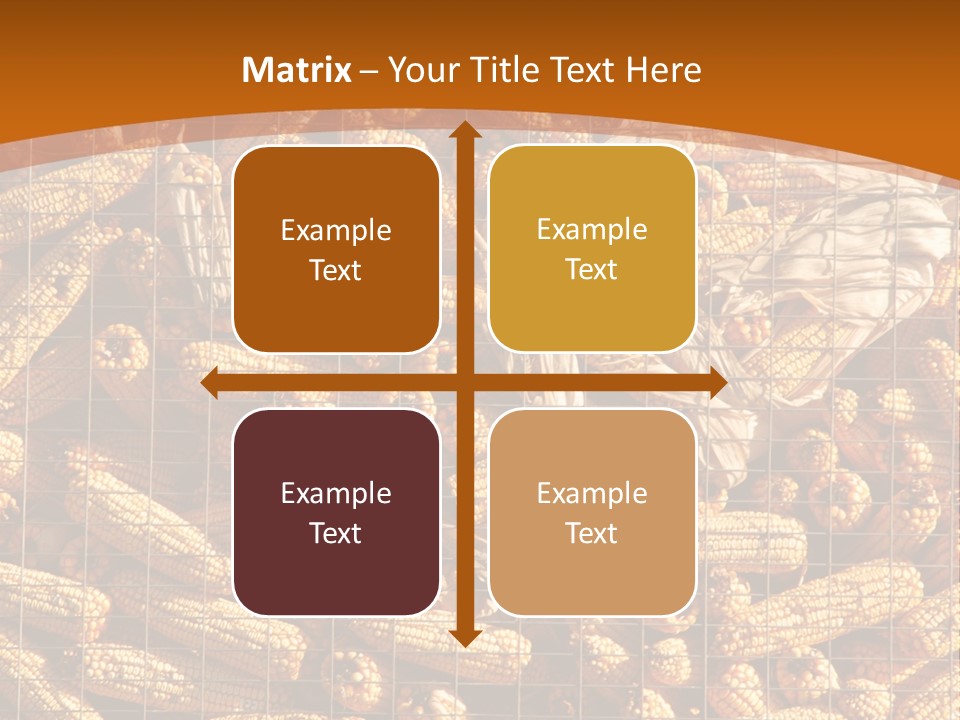 Animal Dry Farming PowerPoint Template