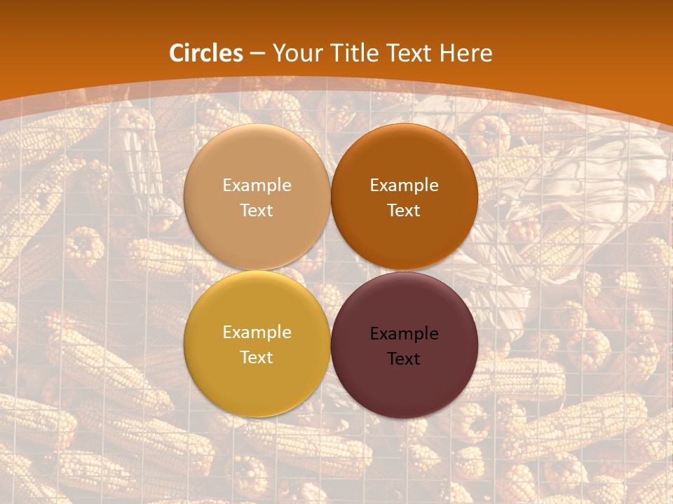 Animal Dry Farming PowerPoint Template