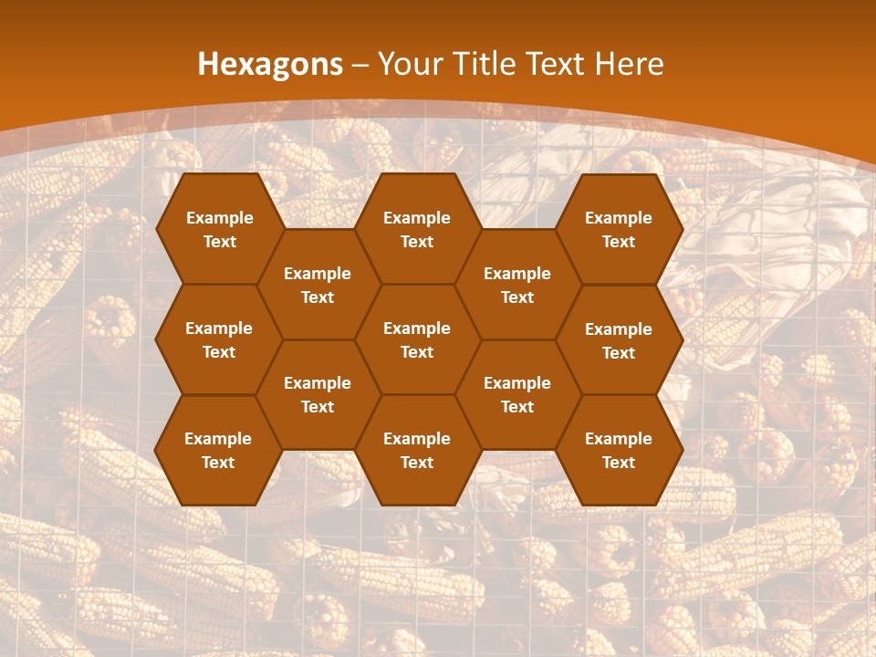 Animal Dry Farming PowerPoint Template