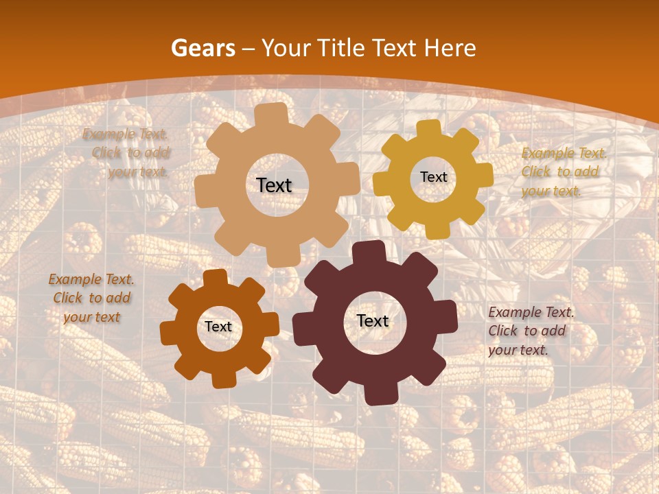 Animal Dry Farming PowerPoint Template
