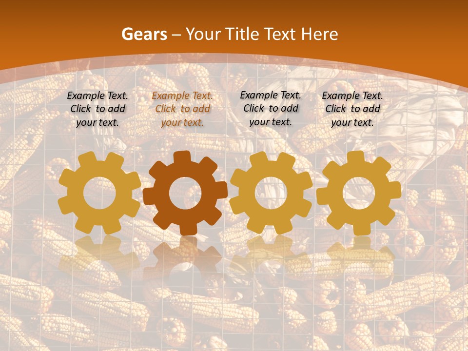 Animal Dry Farming PowerPoint Template