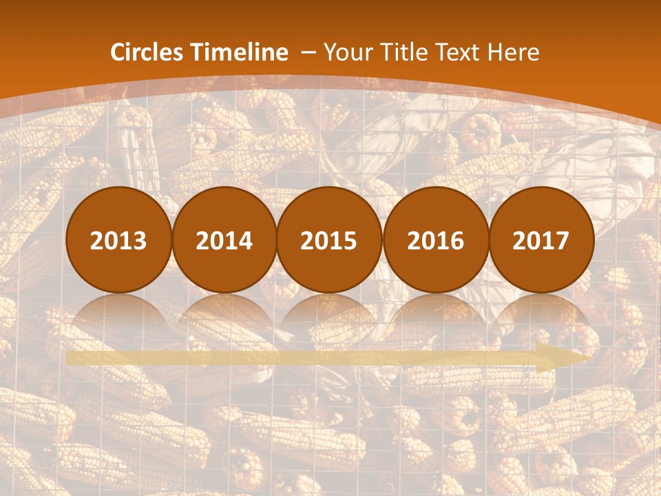 Animal Dry Farming PowerPoint Template