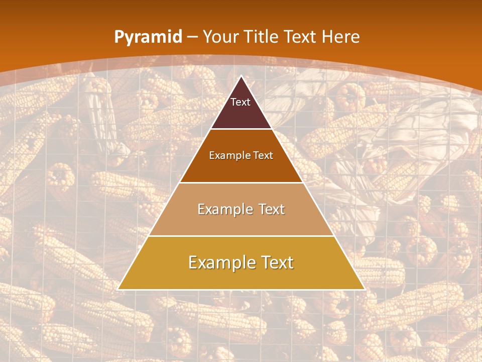 Animal Dry Farming PowerPoint Template