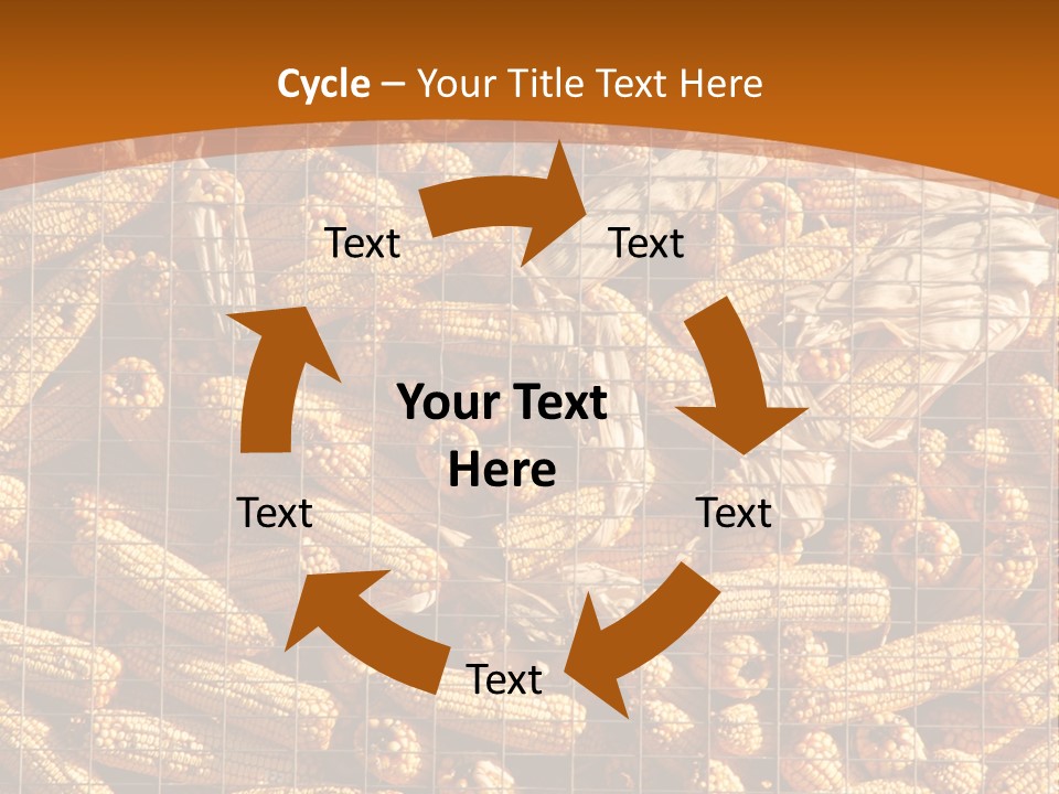 Animal Dry Farming PowerPoint Template