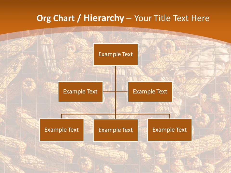 Animal Dry Farming PowerPoint Template