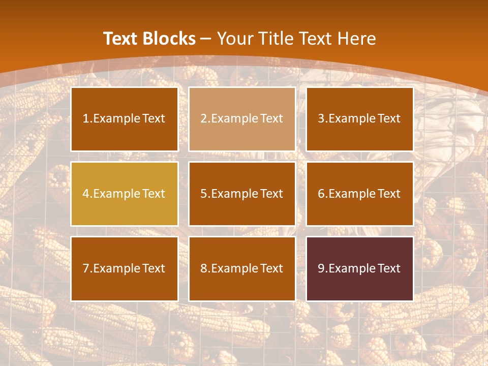 Animal Dry Farming PowerPoint Template