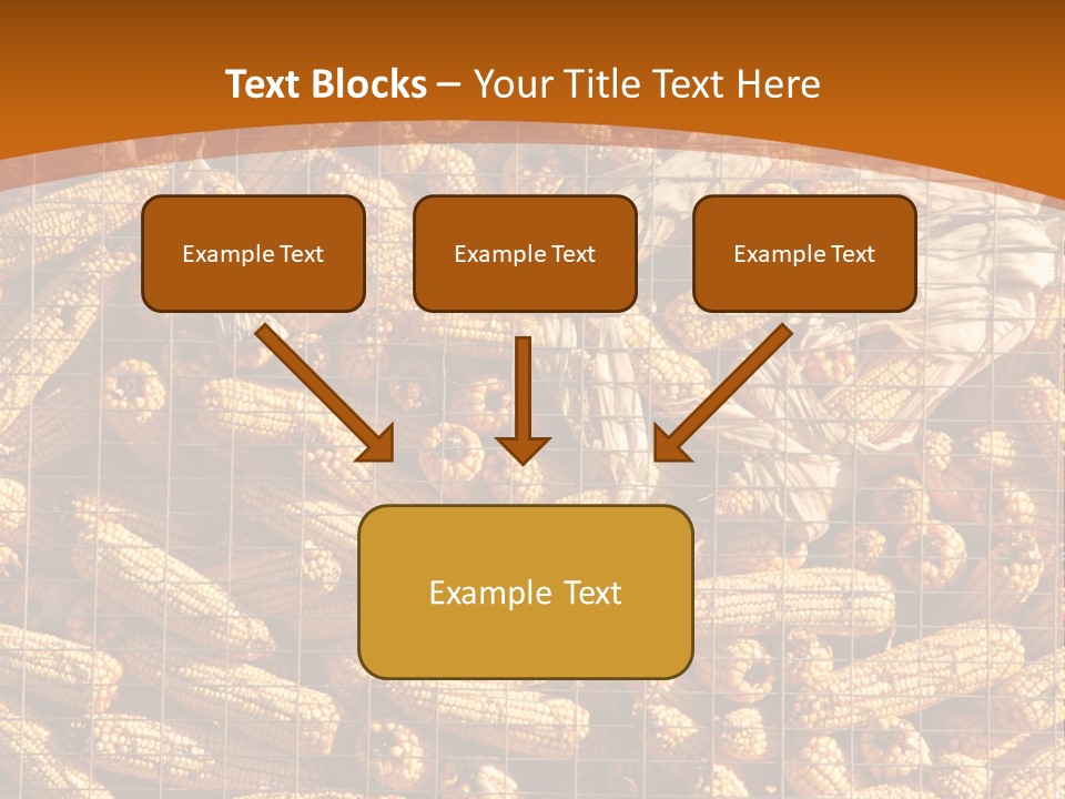 Animal Dry Farming PowerPoint Template