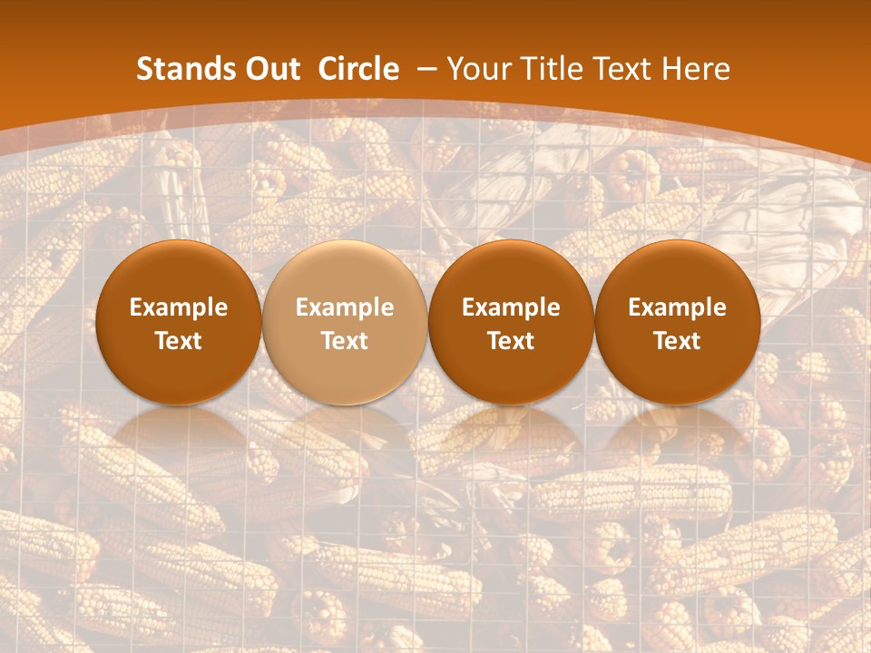 Animal Dry Farming PowerPoint Template