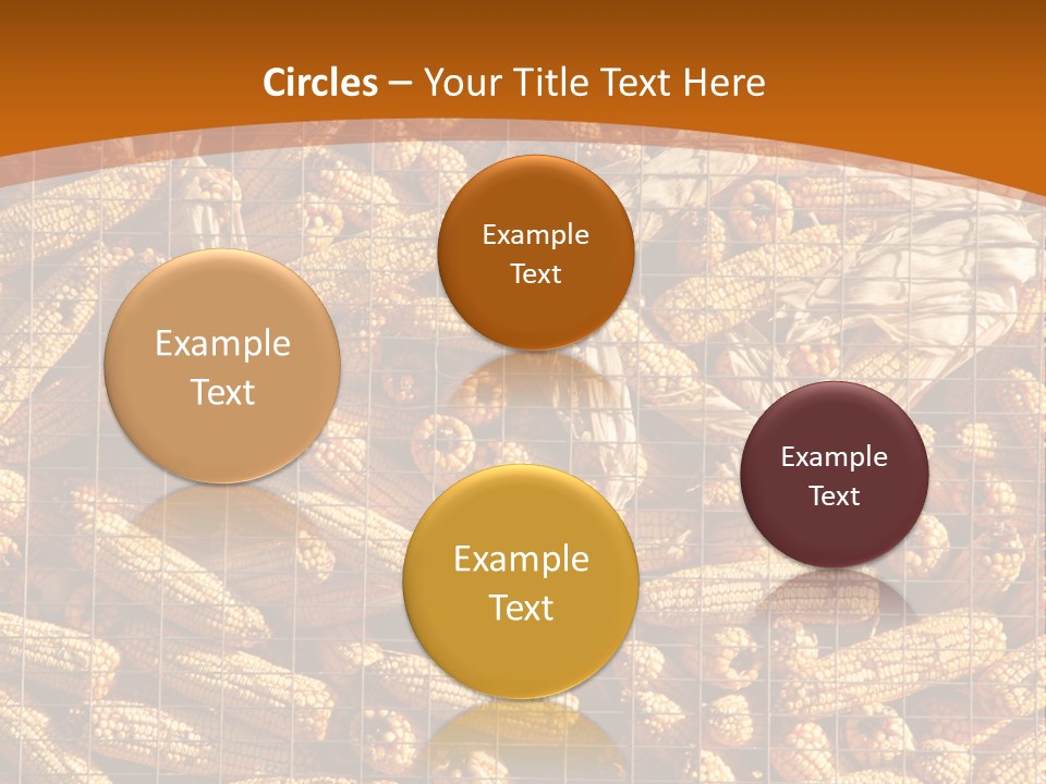 Animal Dry Farming PowerPoint Template