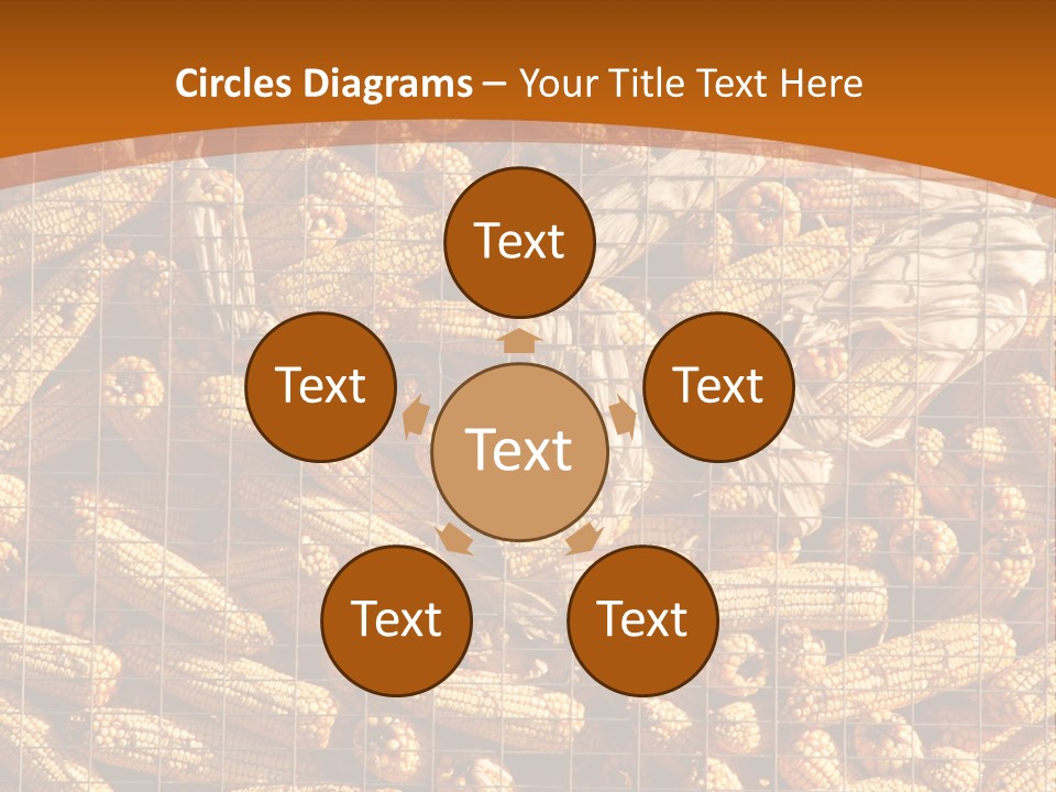 Animal Dry Farming PowerPoint Template