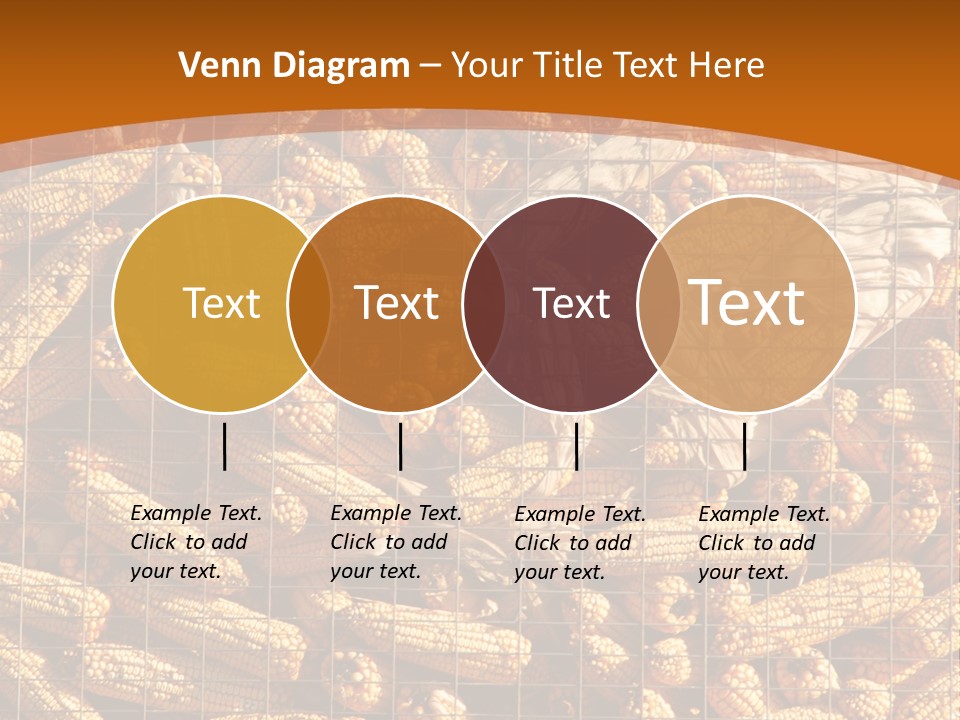 Animal Dry Farming PowerPoint Template