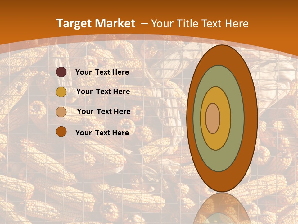 Animal Dry Farming PowerPoint Template