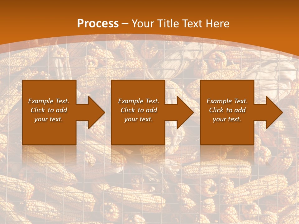 Animal Dry Farming PowerPoint Template