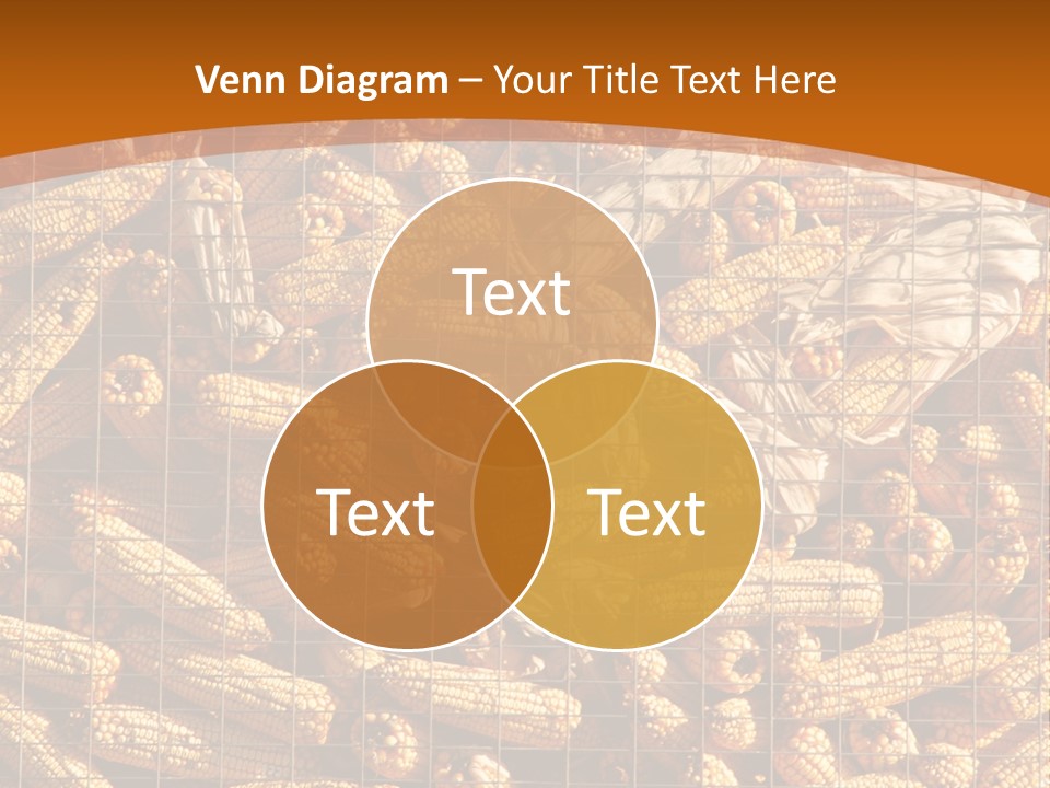 Animal Dry Farming PowerPoint Template