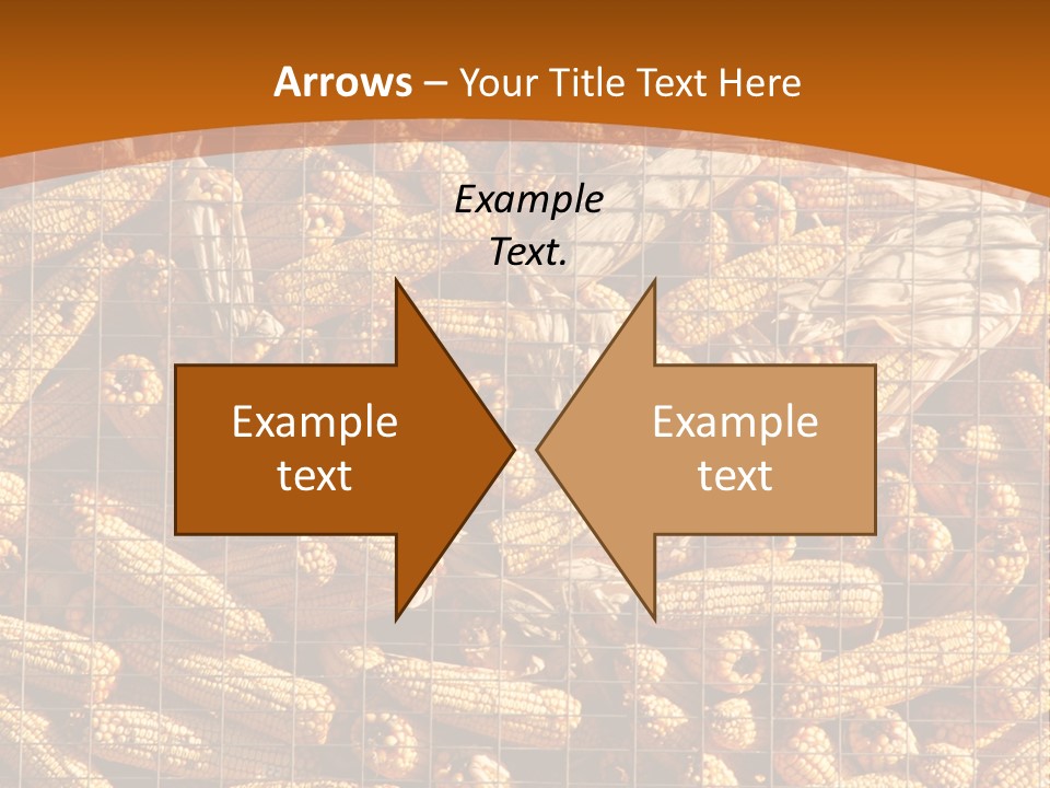 Animal Dry Farming PowerPoint Template