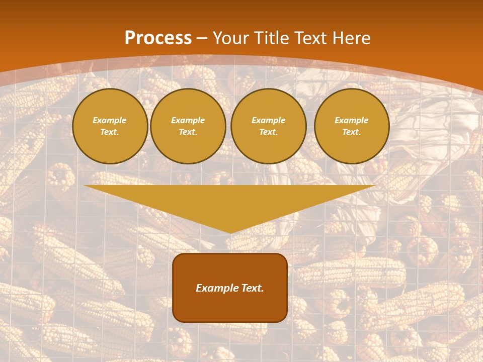 Animal Dry Farming PowerPoint Template