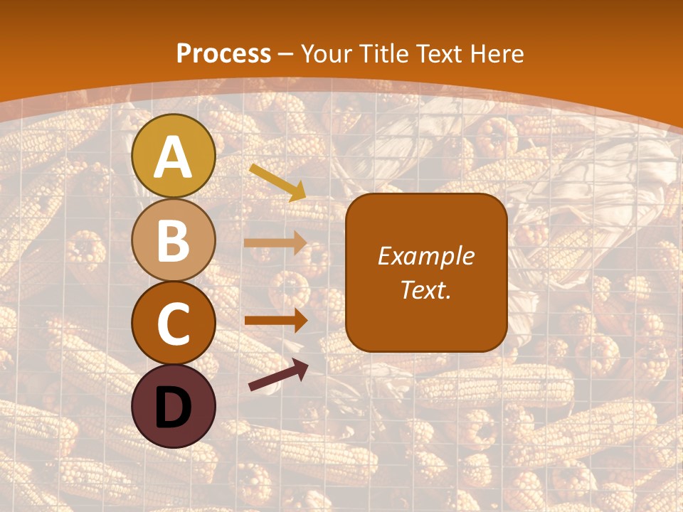 Animal Dry Farming PowerPoint Template