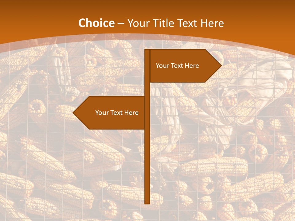 Animal Dry Farming PowerPoint Template