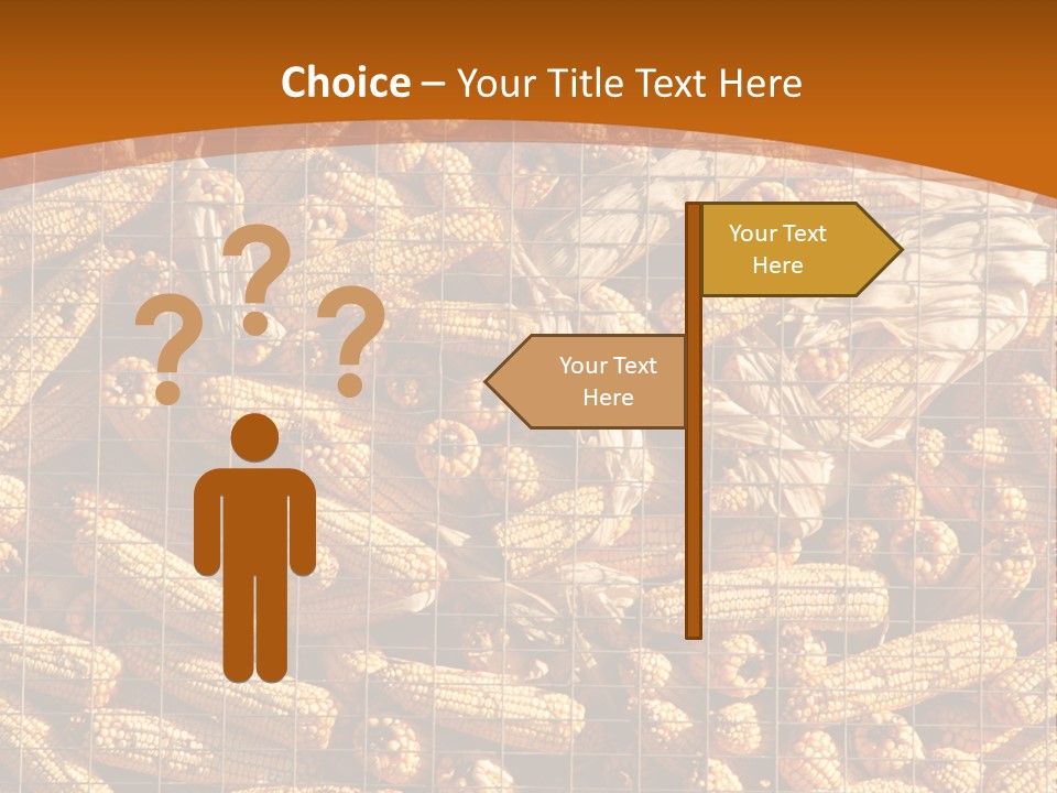 Animal Dry Farming PowerPoint Template
