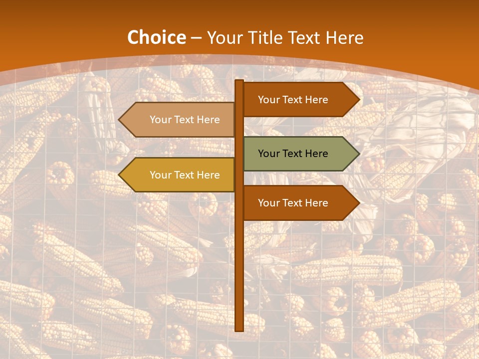 Animal Dry Farming PowerPoint Template