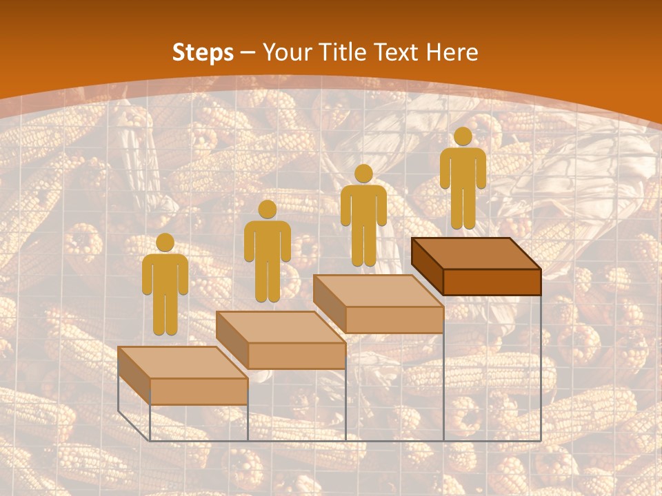 Animal Dry Farming PowerPoint Template