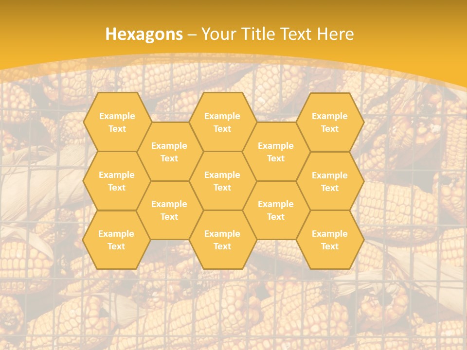 Farming Animal Dry PowerPoint Template