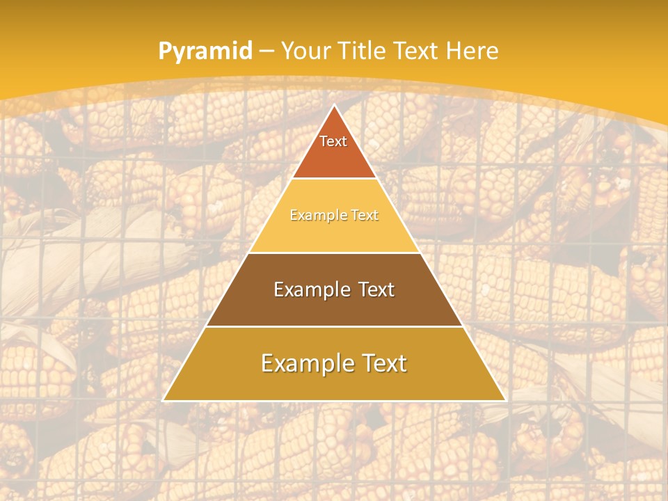 Farming Animal Dry PowerPoint Template