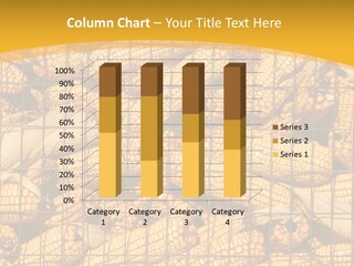 Farming Animal Dry PowerPoint Template