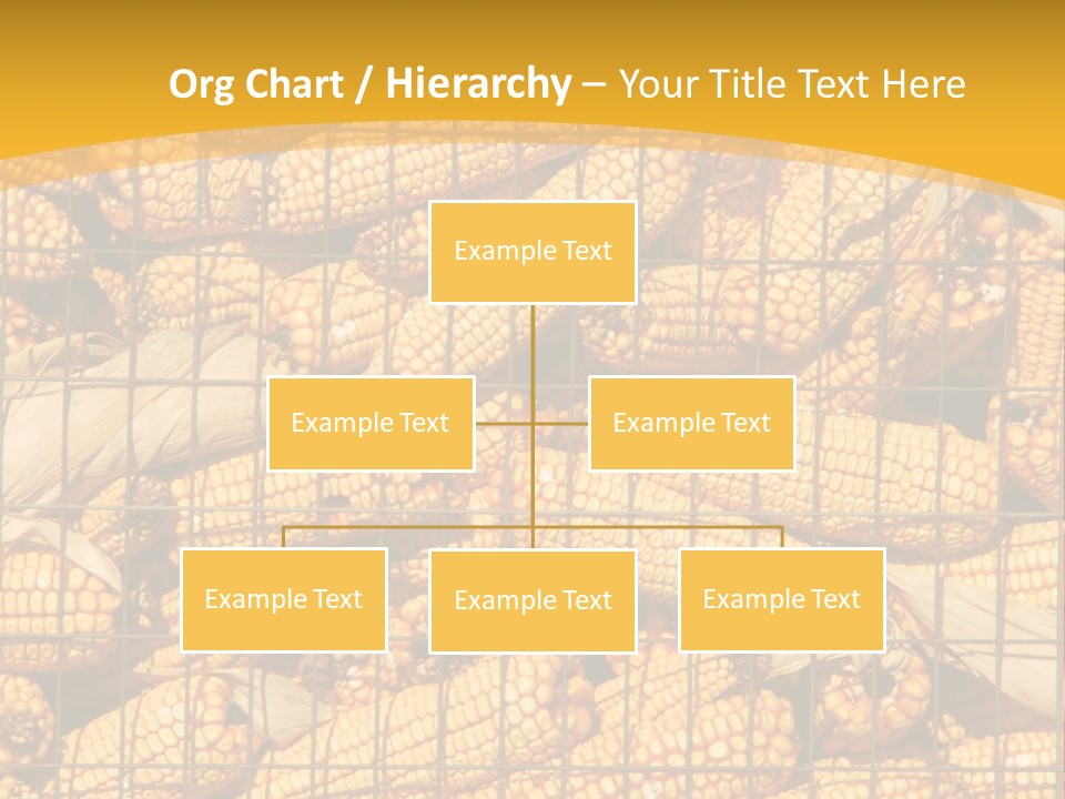 Farming Animal Dry PowerPoint Template