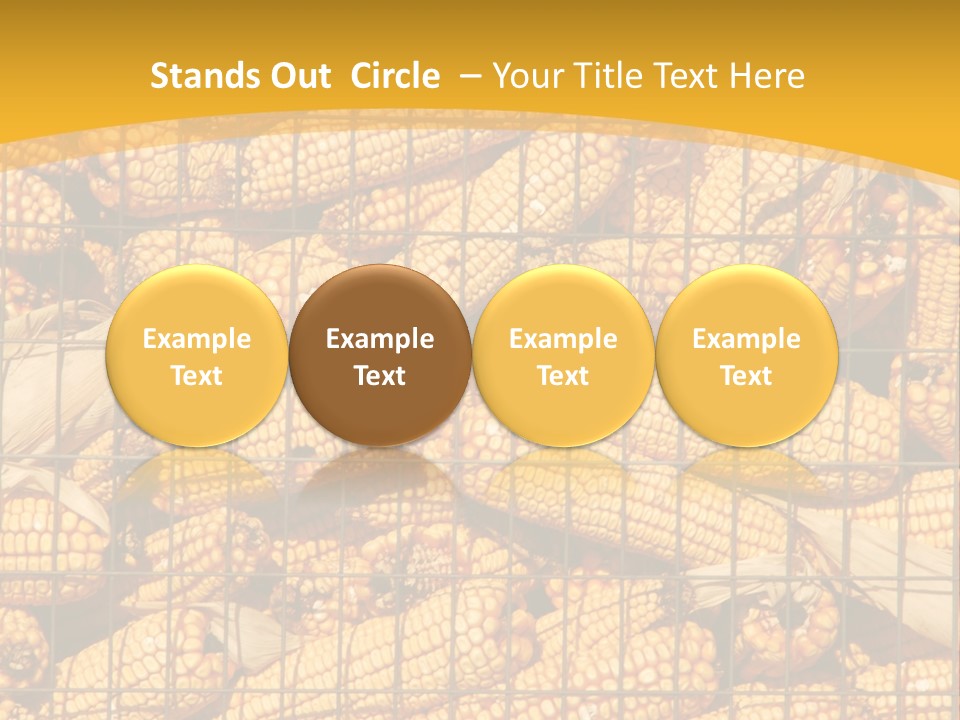 Farming Animal Dry PowerPoint Template