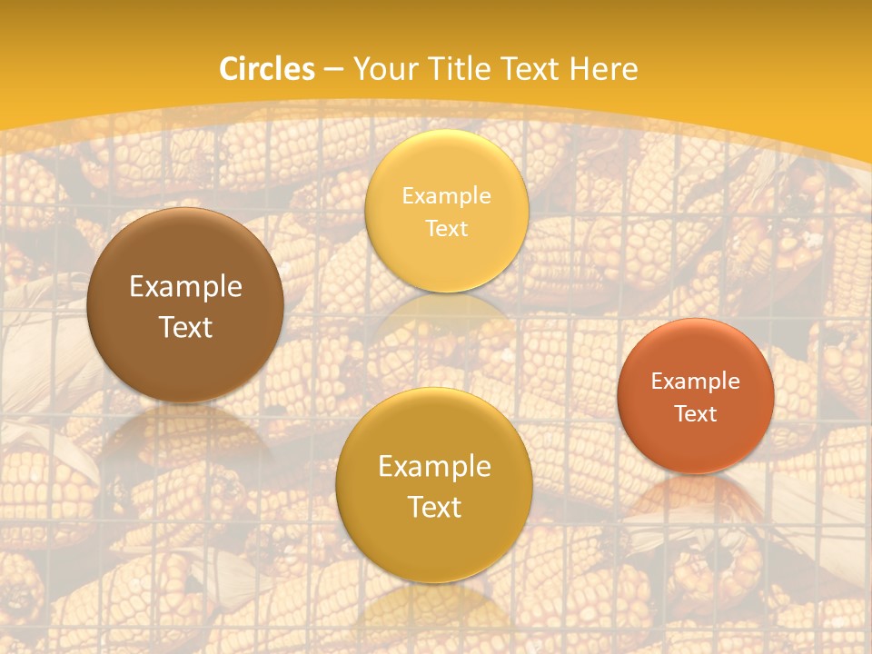 Farming Animal Dry PowerPoint Template