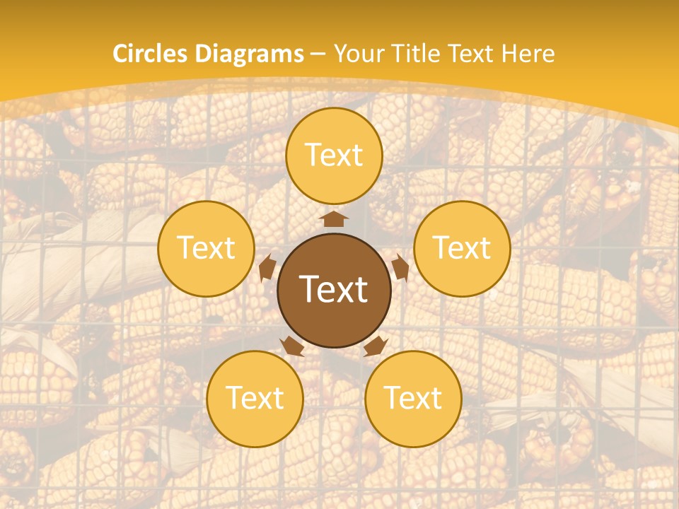 Farming Animal Dry PowerPoint Template