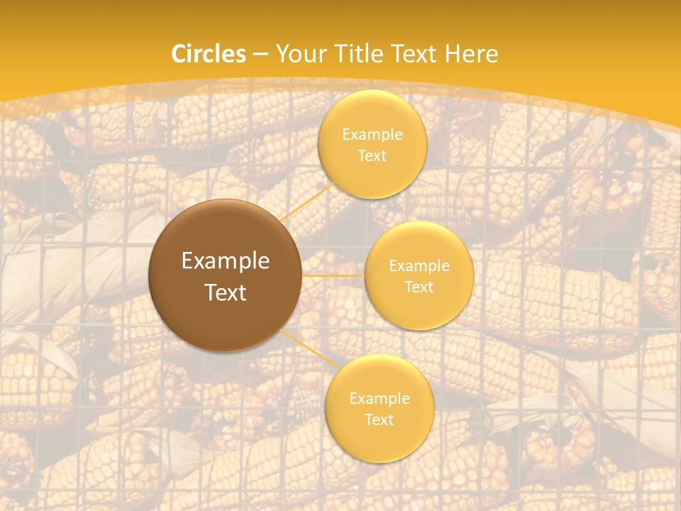 Farming Animal Dry PowerPoint Template