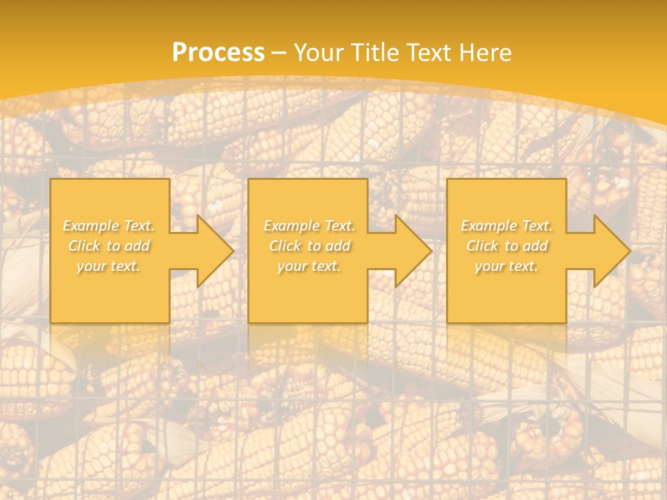 Farming Animal Dry PowerPoint Template