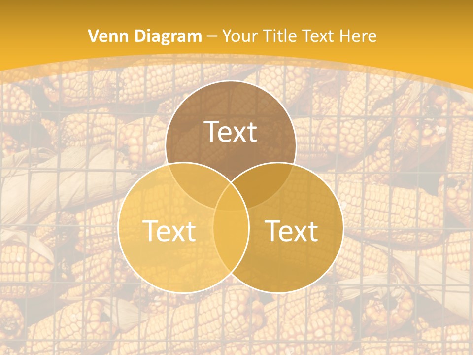 Farming Animal Dry PowerPoint Template