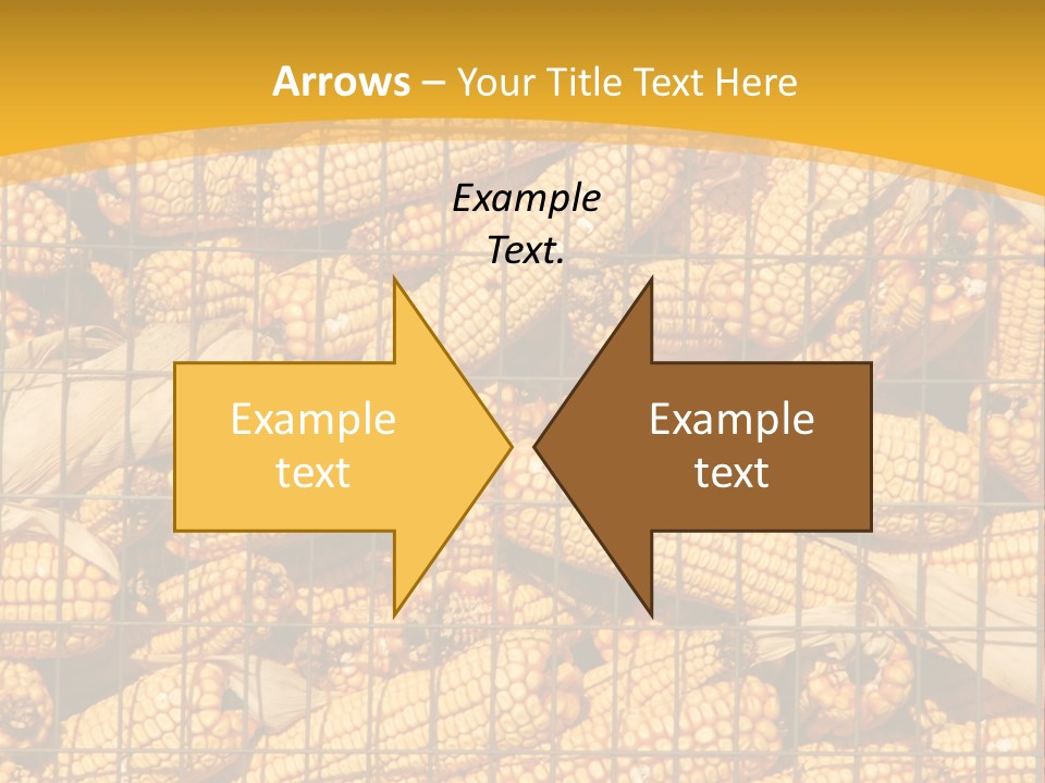 Farming Animal Dry PowerPoint Template