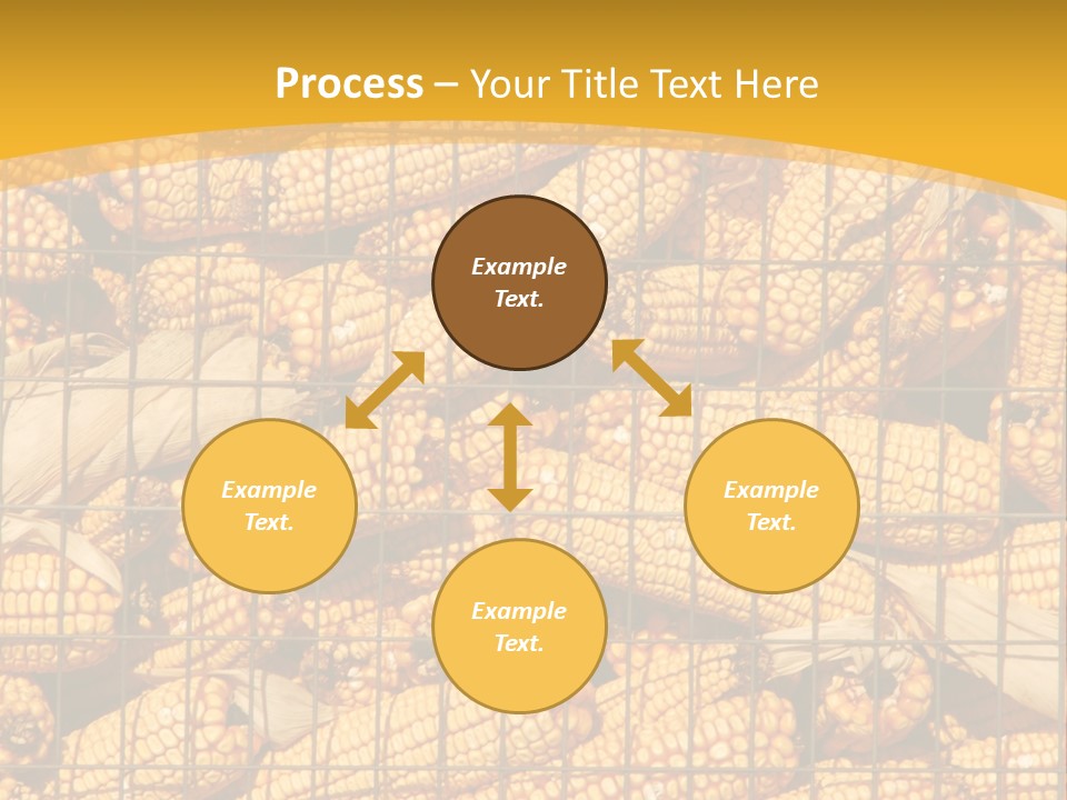 Farming Animal Dry PowerPoint Template