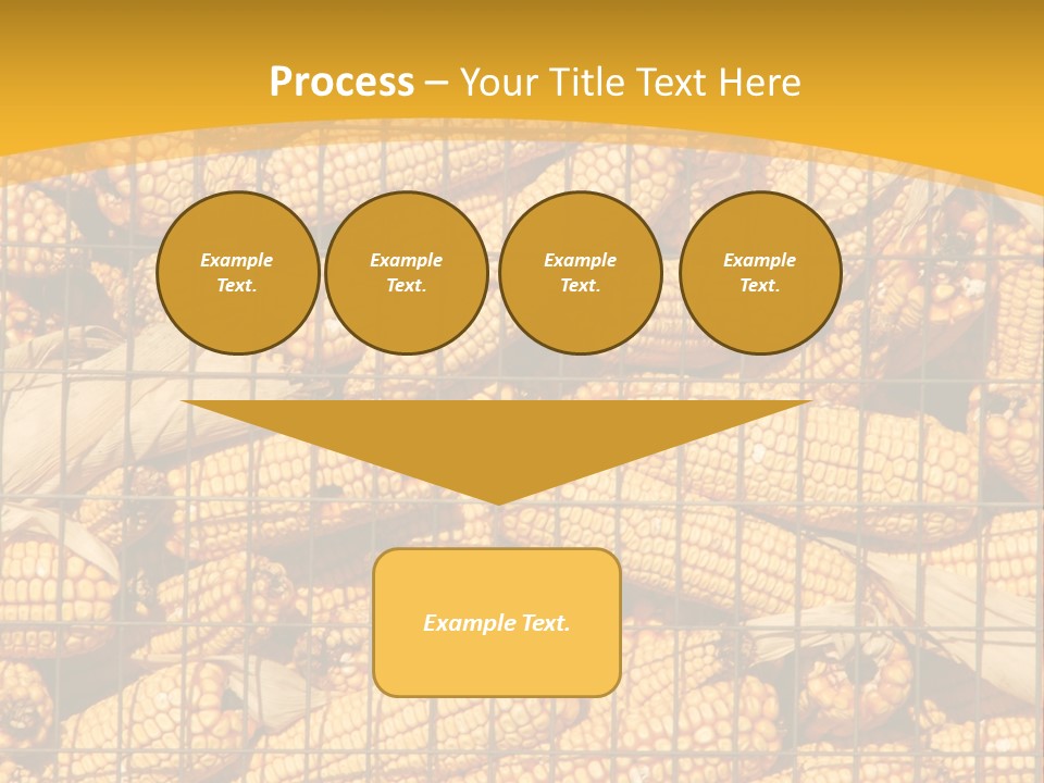 Farming Animal Dry PowerPoint Template