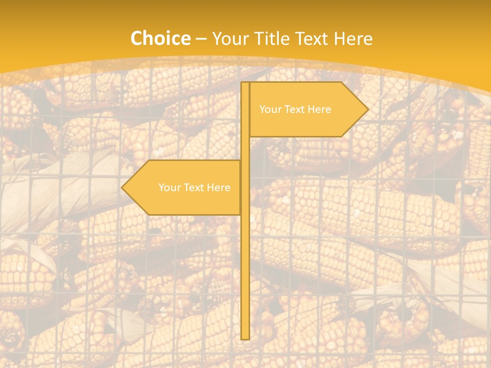 Farming Animal Dry PowerPoint Template