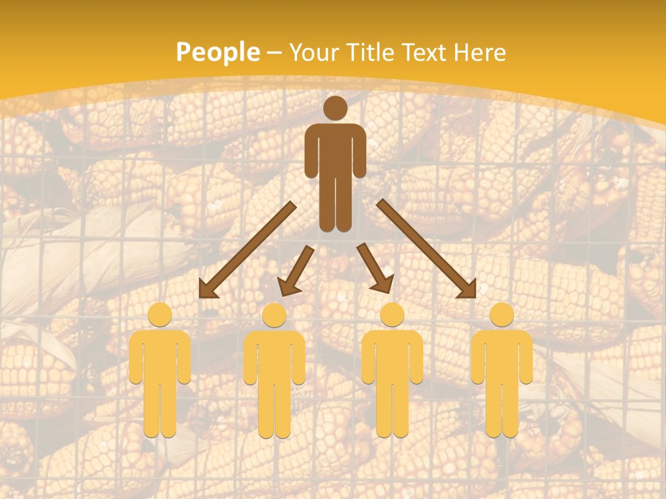 Farming Animal Dry PowerPoint Template