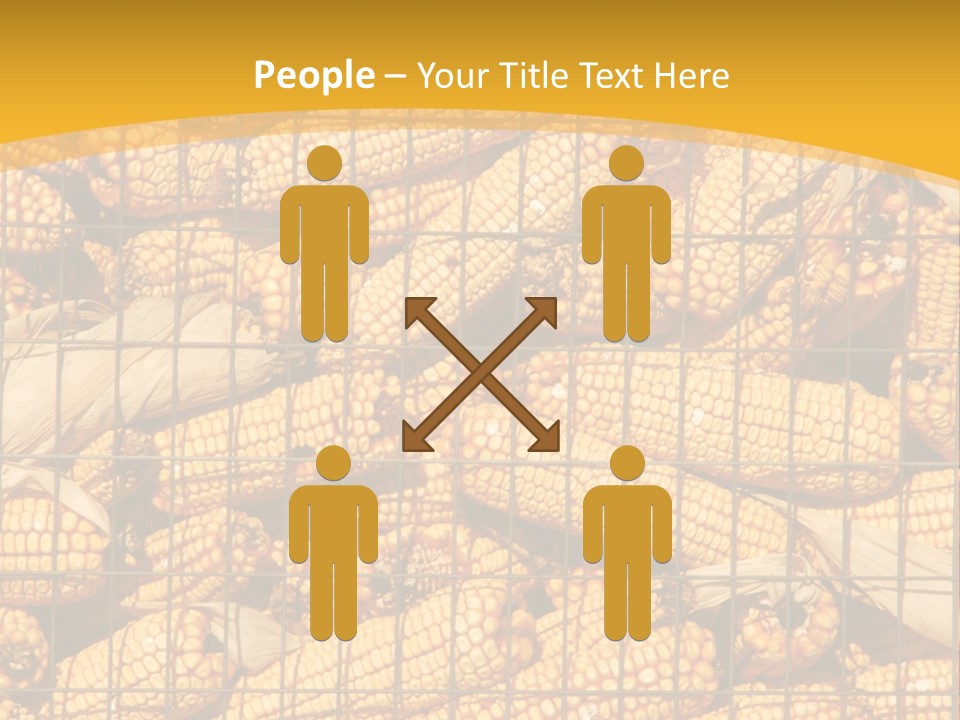 Farming Animal Dry PowerPoint Template