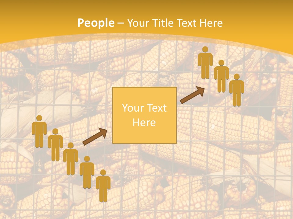 Farming Animal Dry PowerPoint Template