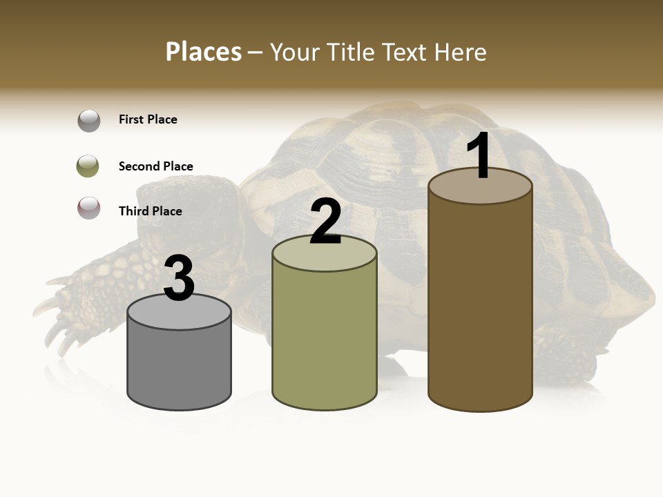 Herbivorous Shield Carapace PowerPoint Template