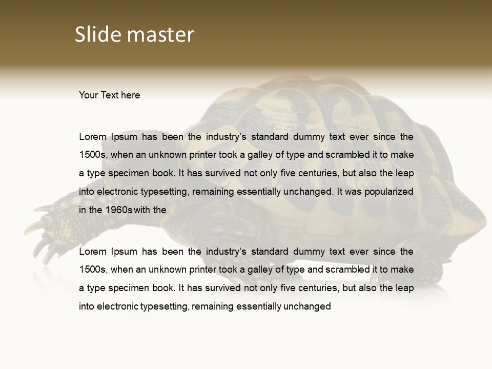Herbivorous Shield Carapace PowerPoint Template