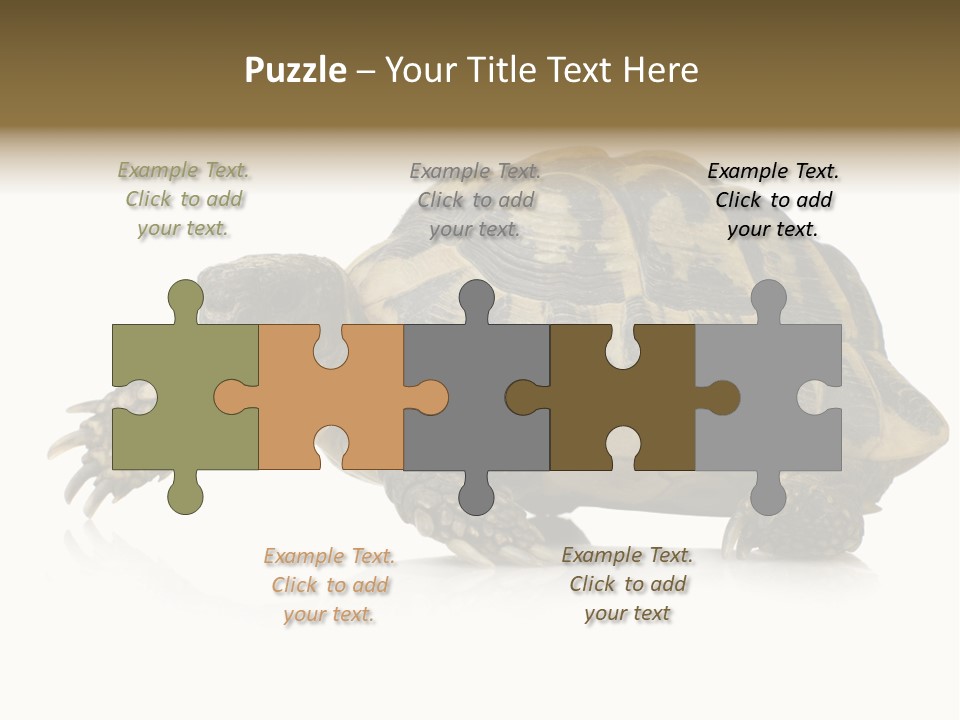 Herbivorous Shield Carapace PowerPoint Template