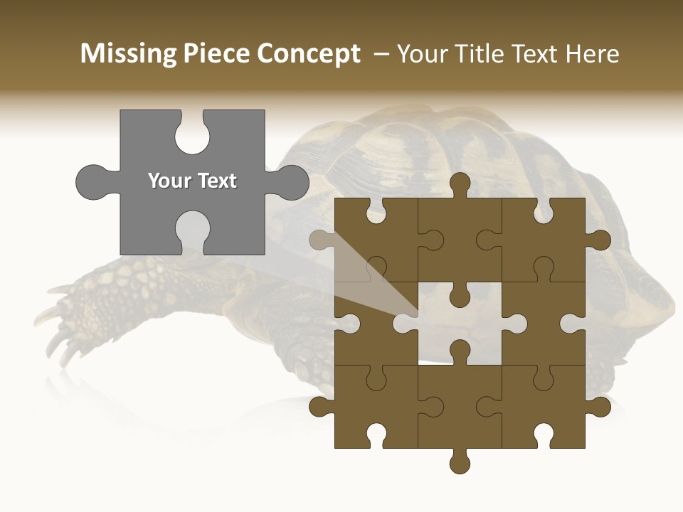 Herbivorous Shield Carapace PowerPoint Template